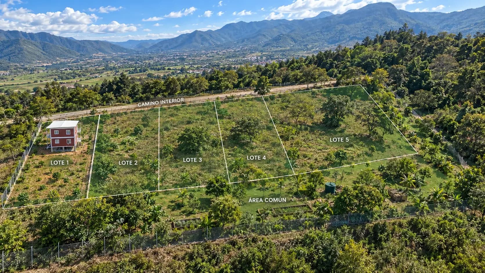 Aerial view of Camino 5 with the five labelled lots, the interior road and the shared area